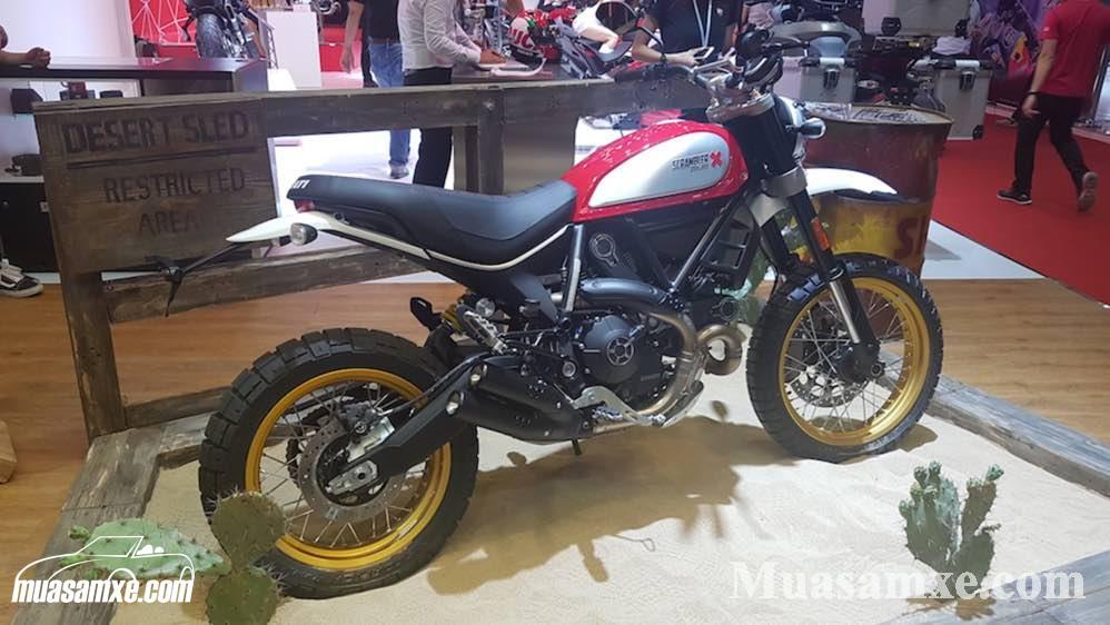 Xe địa hình Ducati Scrambler Desert Sled giá 429 triệu tại Việt Nam