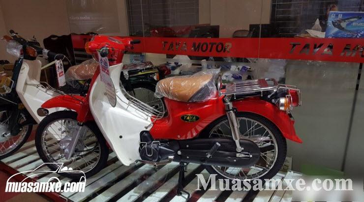 Đánh giá Taya Cub mẫu xe máy mới giá rẻ chỉ từ 12 triệu tại đại lý Việt Nam