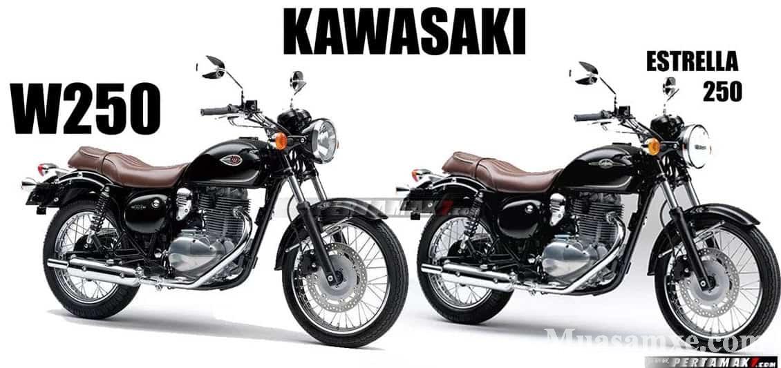 Kawasaki W250 2018 giá 122 triệu đồng chính thức ra mắt thị trường 1