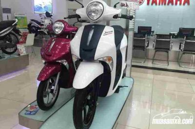 Ảnh chi tiết Yamaha Janus LTD Boys bản đặc biệt giá từ 32 triệu tại đại lý