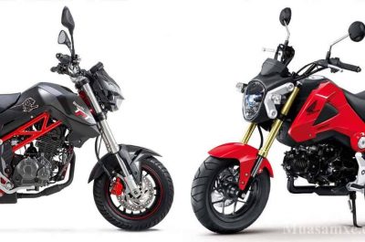 So sánh Honda MSX và Benelli TNT 125 về giá bán và thiết kế